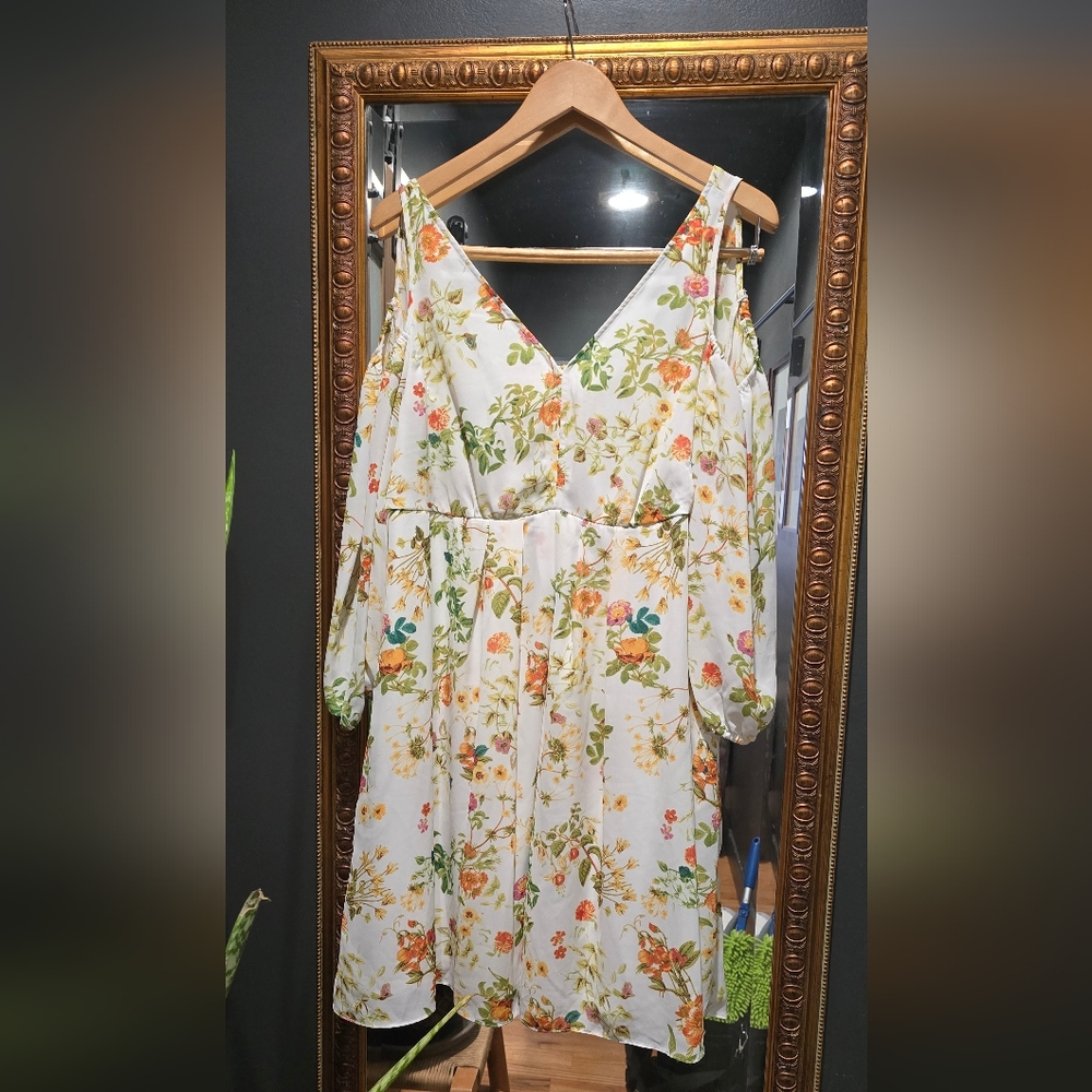 Alice in Wonderland Floral Print Dress